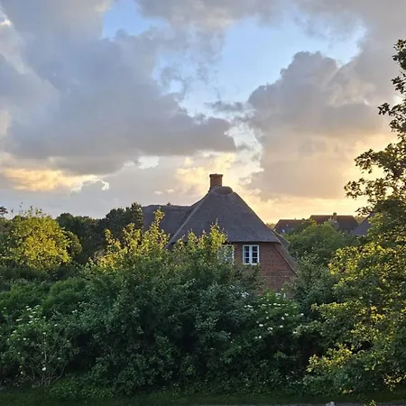 Prázdninový dům Amrum Lounge - Stilvolle Mit Gartenidylle Nebel